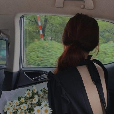 芭啦芭啦樱之花