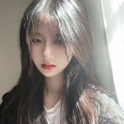 枝头凤