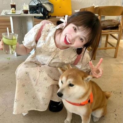 星梦手记